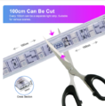 220V-5050-RGB -2 خط